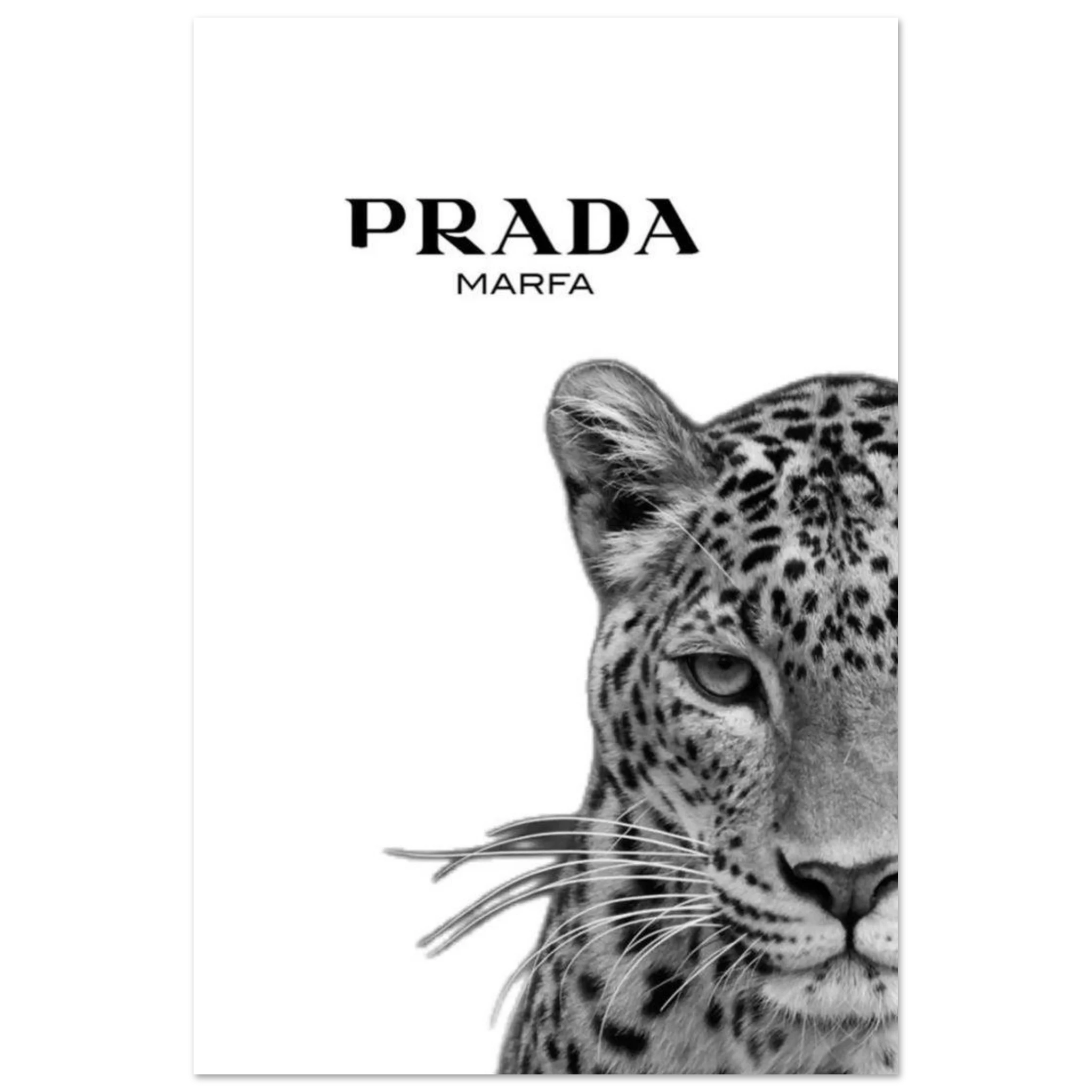 0a27bfab-56ca-4ec0-a599-dc0a90af9912