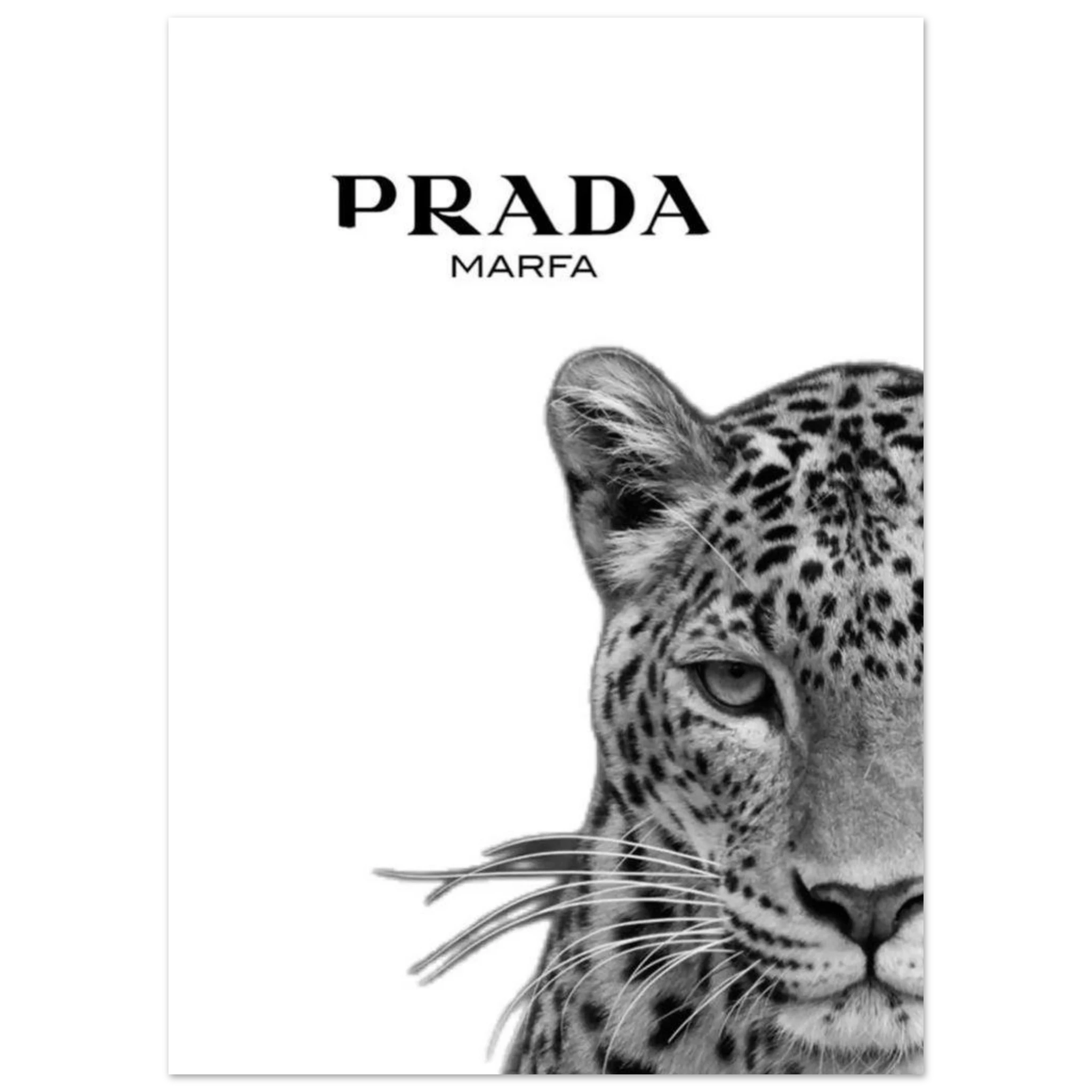 24fc8491-ac6b-4d0b-b73b-acea09bfdef8