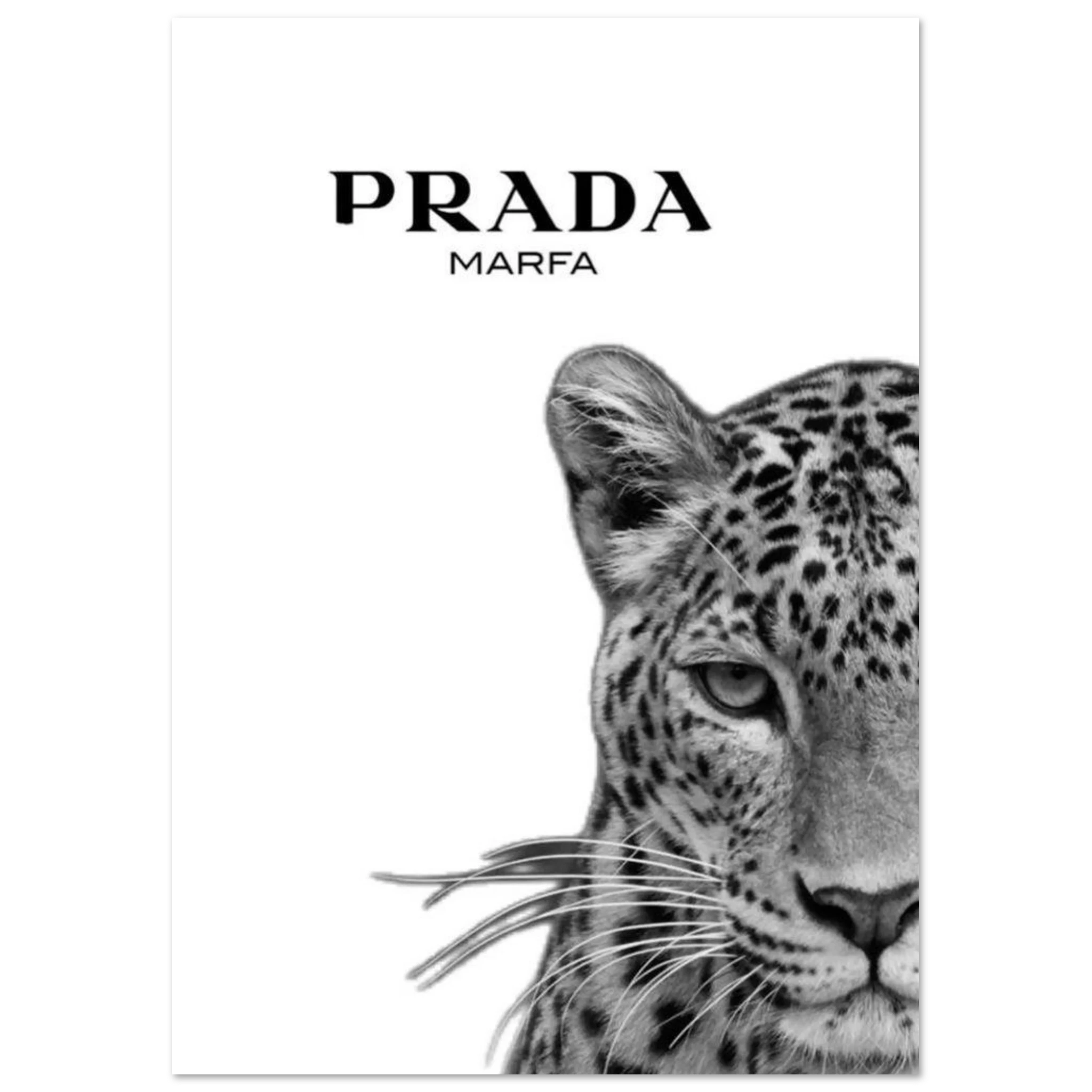 3e26703f-ca08-459e-bfea-12f2a7cd869b